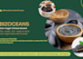 design powerpoint presentation, google slides, canva PPT, pitch deck
